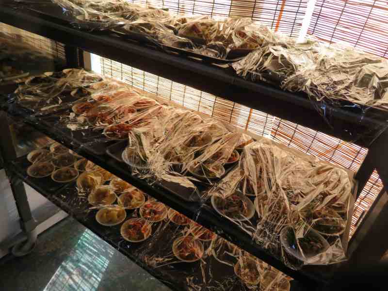 f:id:mannenNA:20211209173420j:plain