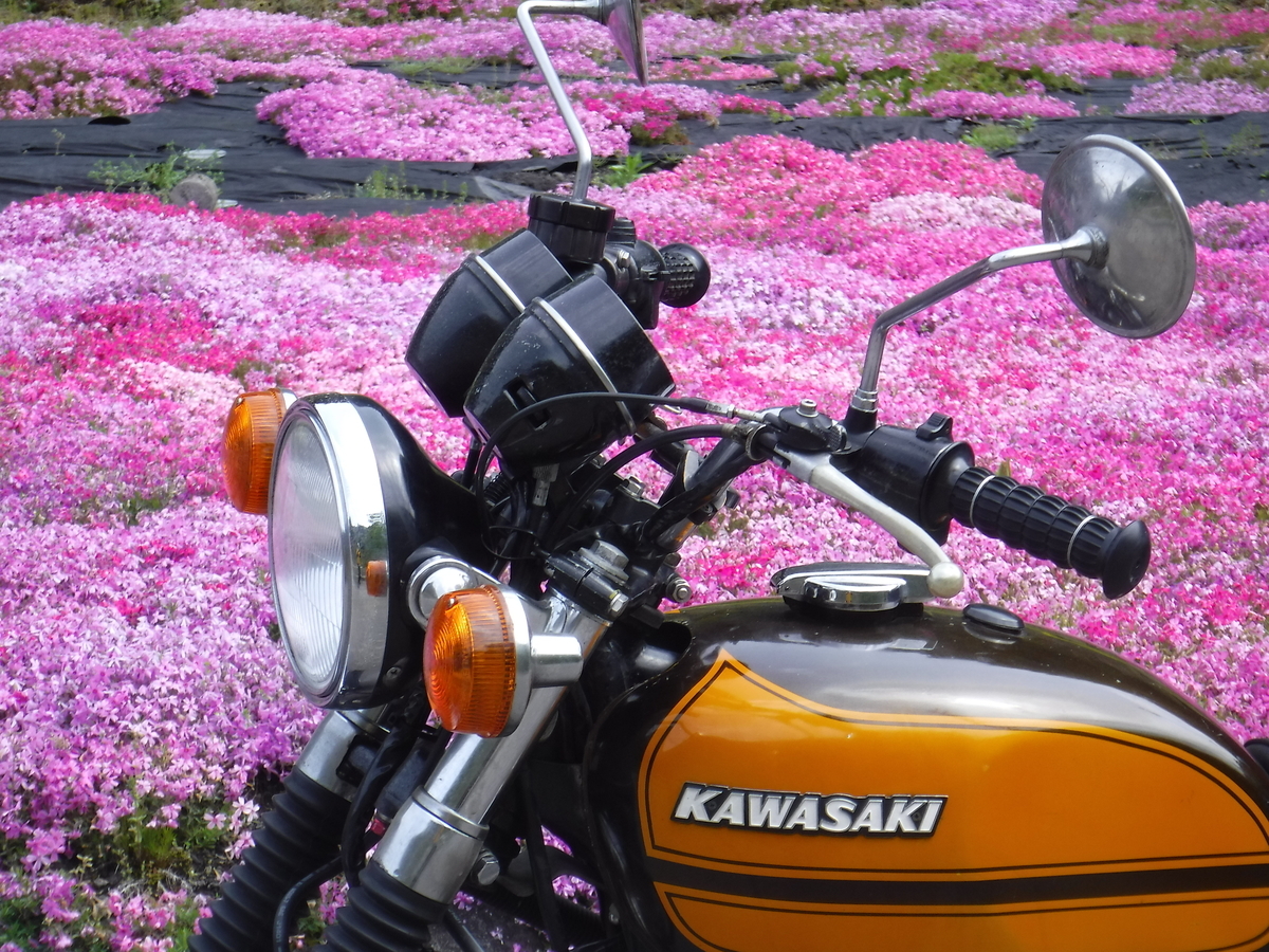 f:id:mannenNA:20211220193034j:plain