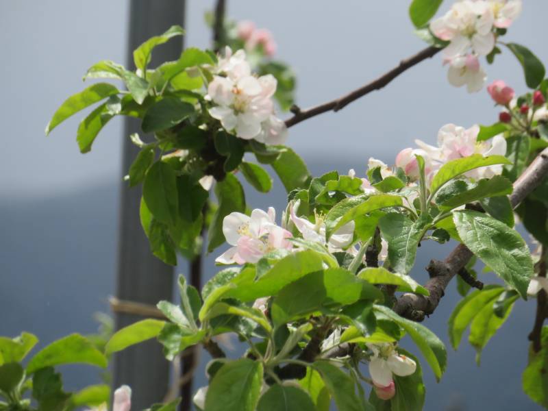 f:id:mannenNA:20211220193216j:plain