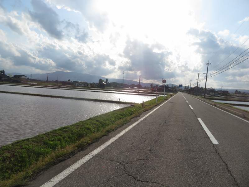 f:id:mannenNA:20211220193931j:plain