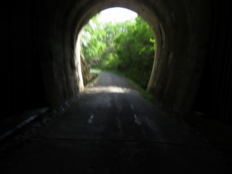 f:id:mannenNA:20211220194634j:plain