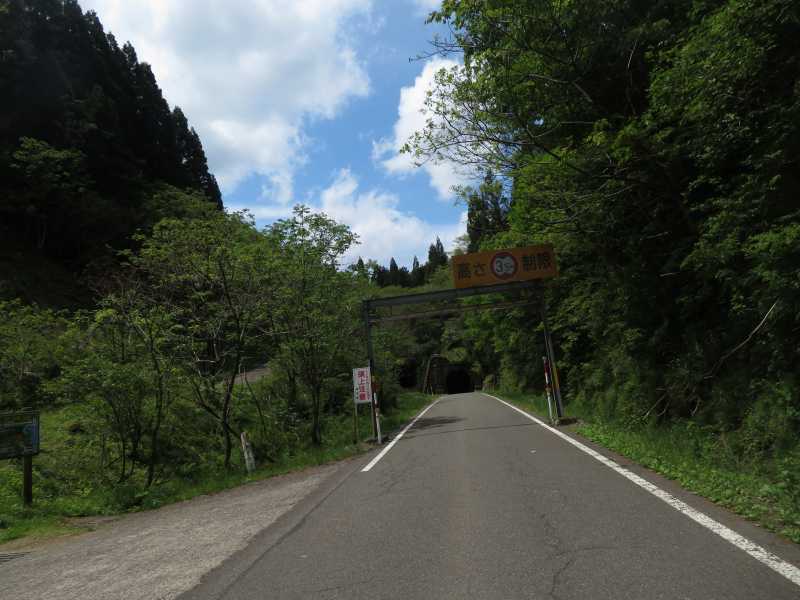 f:id:mannenNA:20211220195330j:plain