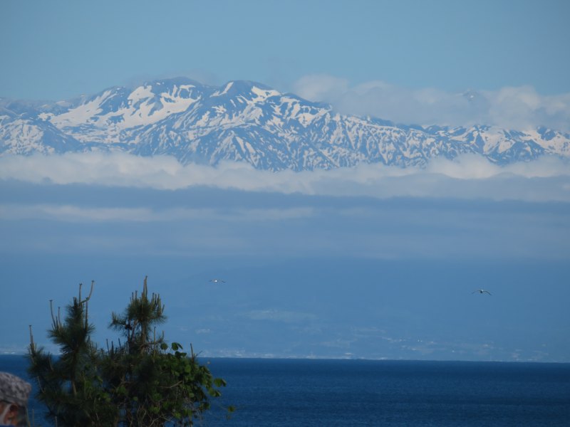 f:id:mannenNA:20211220200633j:plain