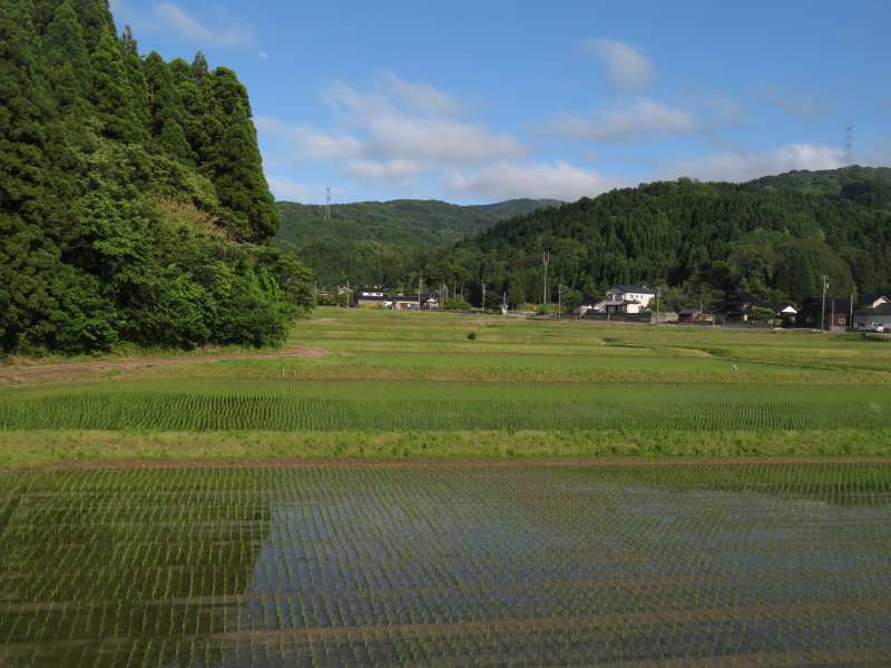 f:id:mannenNA:20211220200656j:plain