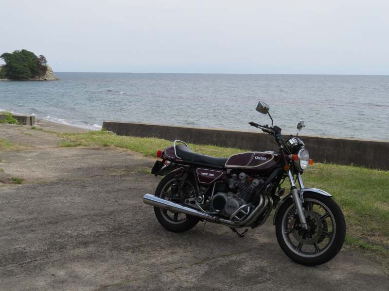 f:id:mannenNA:20211221175053j:plain