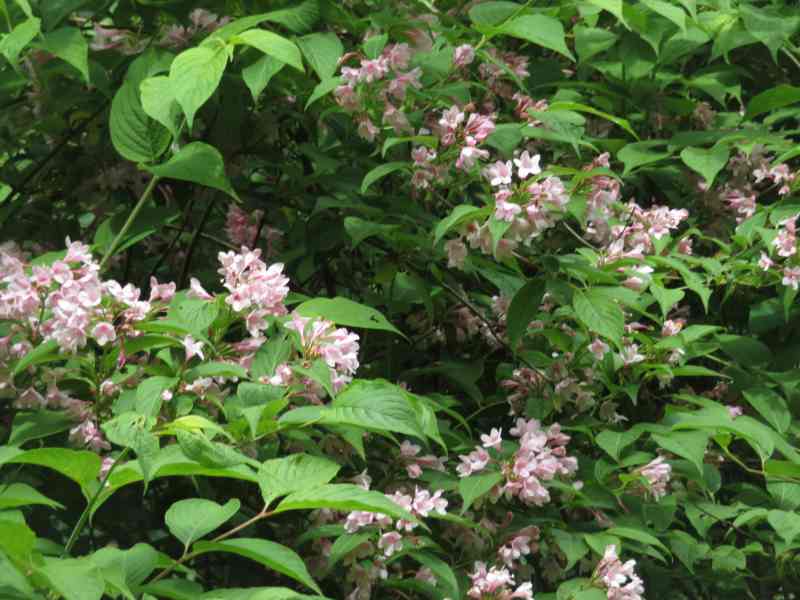 f:id:mannenNA:20211221175659j:plain