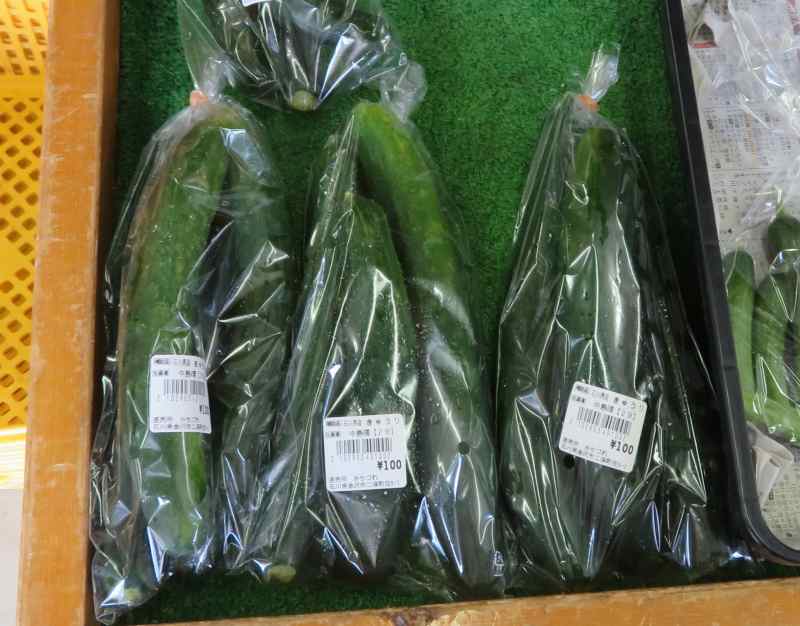 f:id:mannenNA:20211221180703j:plain