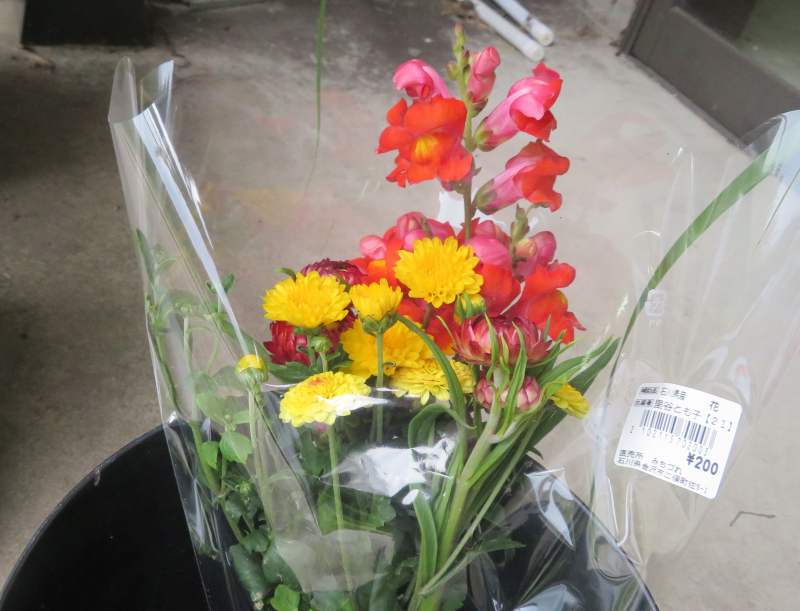 f:id:mannenNA:20211221180719j:plain