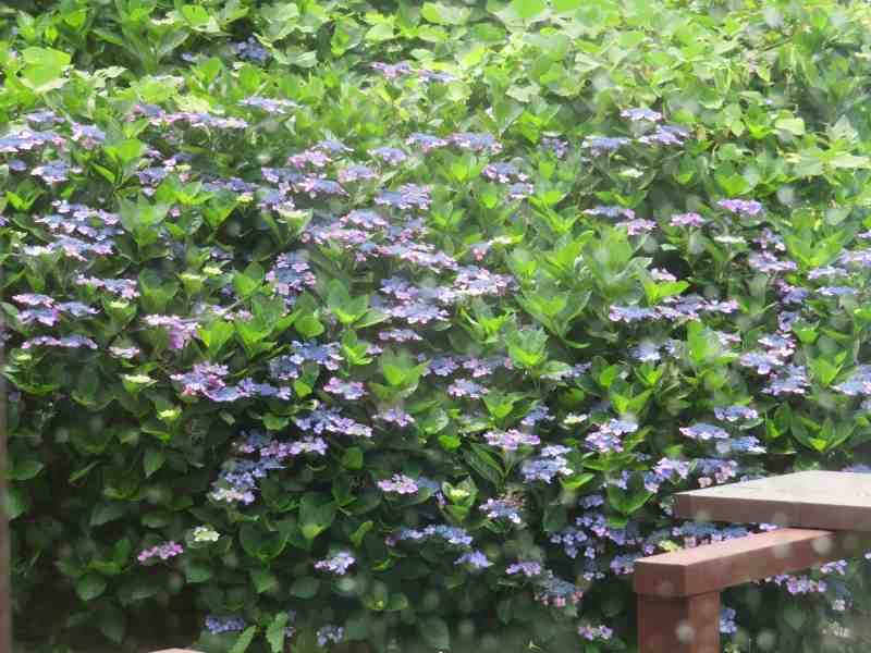 f:id:mannenNA:20211222165810j:plain