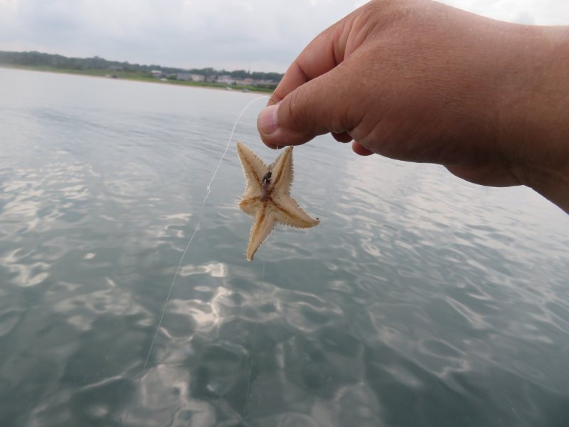 f:id:mannenNA:20211223174256j:plain