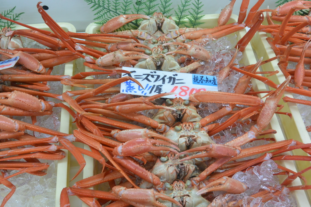 f:id:mannenNA:20211223175405j:plain