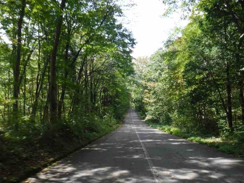 f:id:mannenNA:20211225102451j:plain