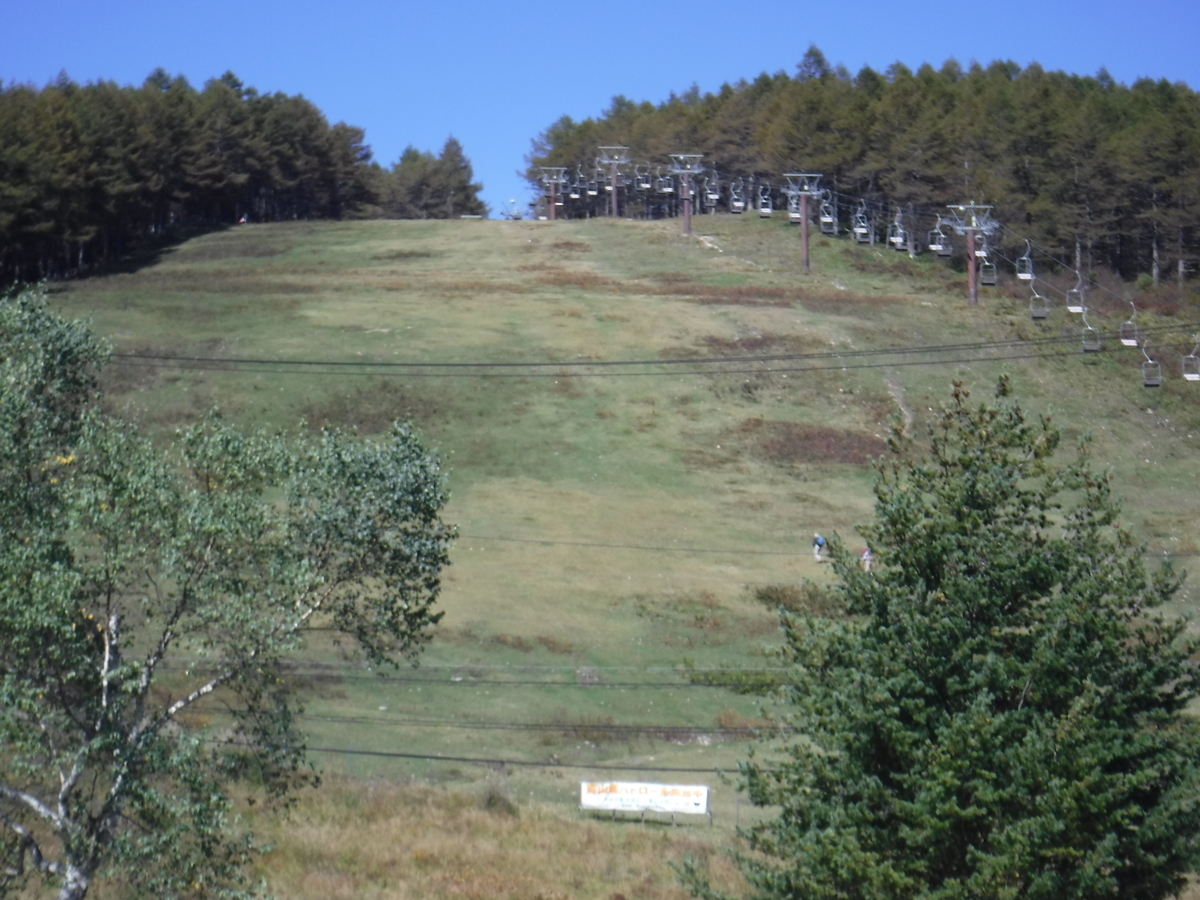 f:id:mannenNA:20211225103437j:plain