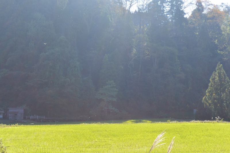 f:id:mannenNA:20211227200212j:plain