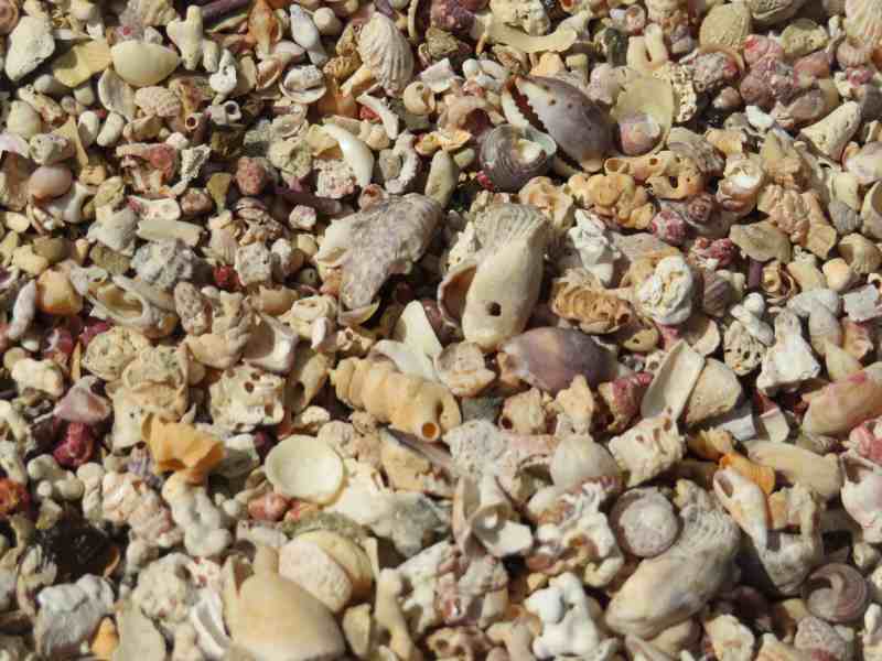 f:id:mannenNA:20211227200708j:plain