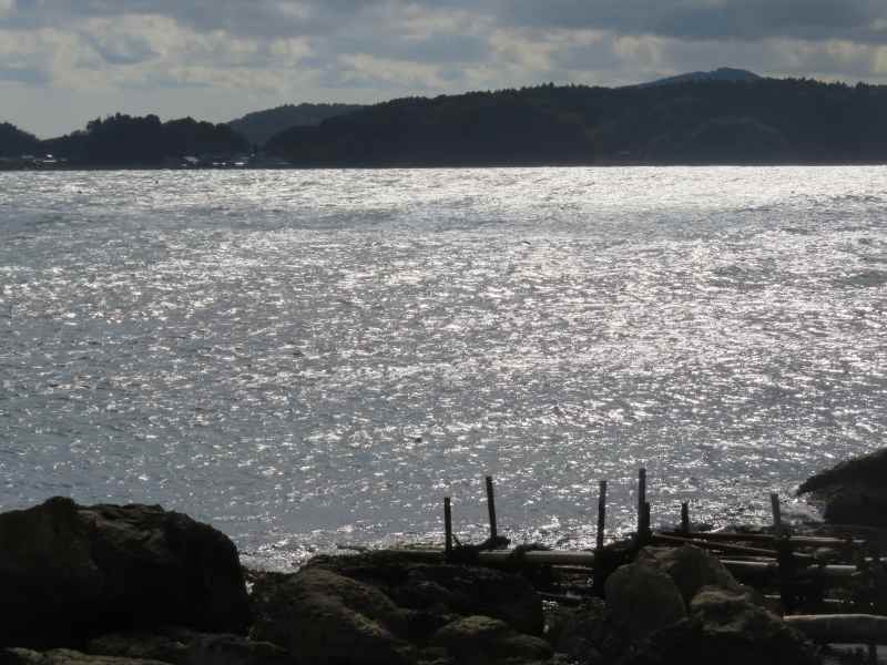 f:id:mannenNA:20211227200727j:plain