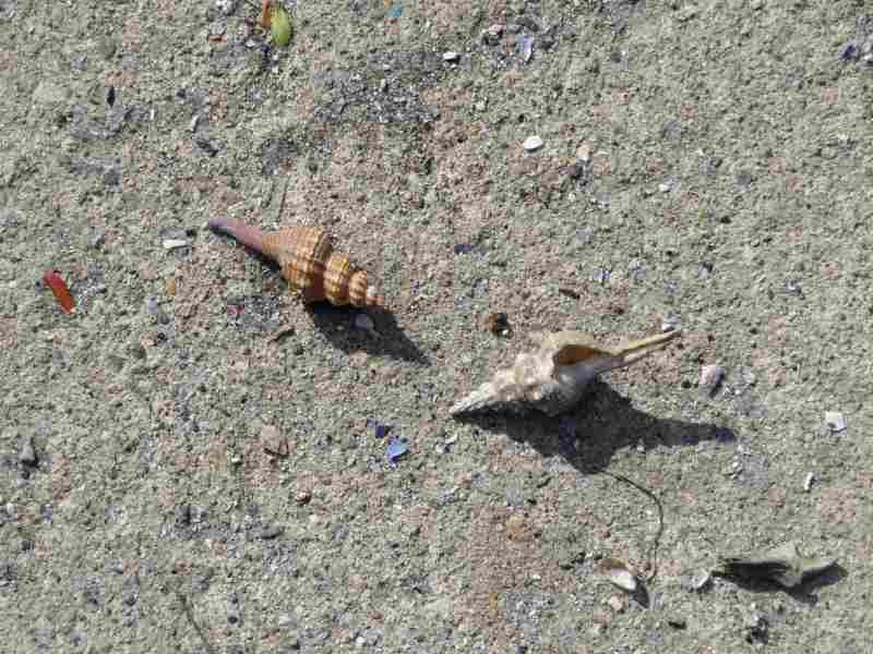 f:id:mannenNA:20211227200812j:plain