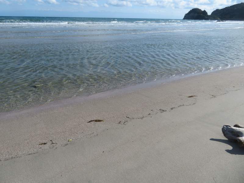 f:id:mannenNA:20211227201020j:plain