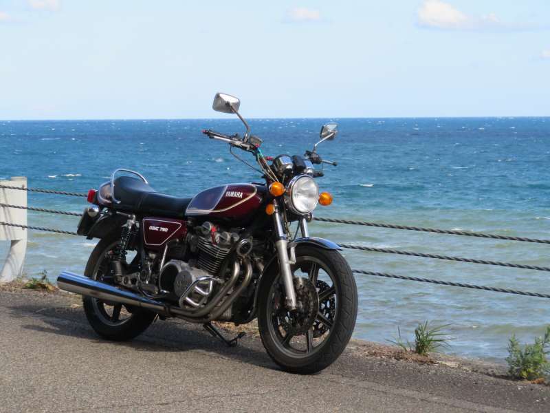 f:id:mannenNA:20211227201035j:plain