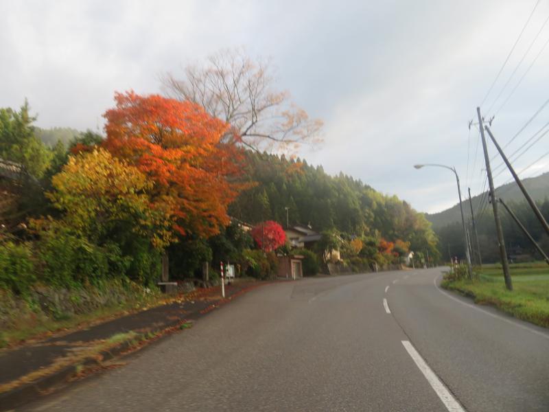 f:id:mannenNA:20211227201151j:plain