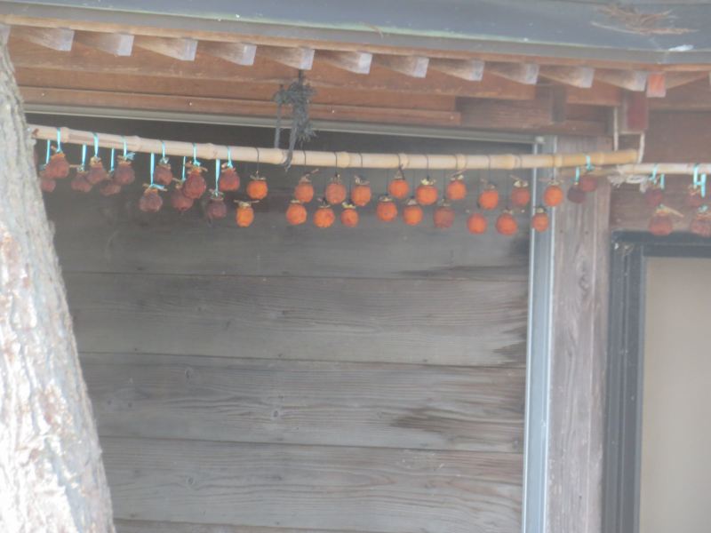 f:id:mannenNA:20211227201318j:plain