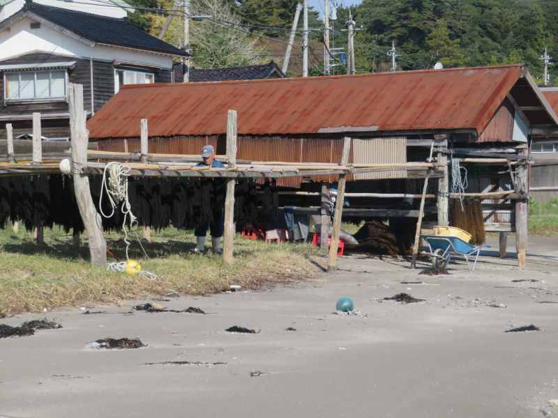 f:id:mannenNA:20211227201412j:plain