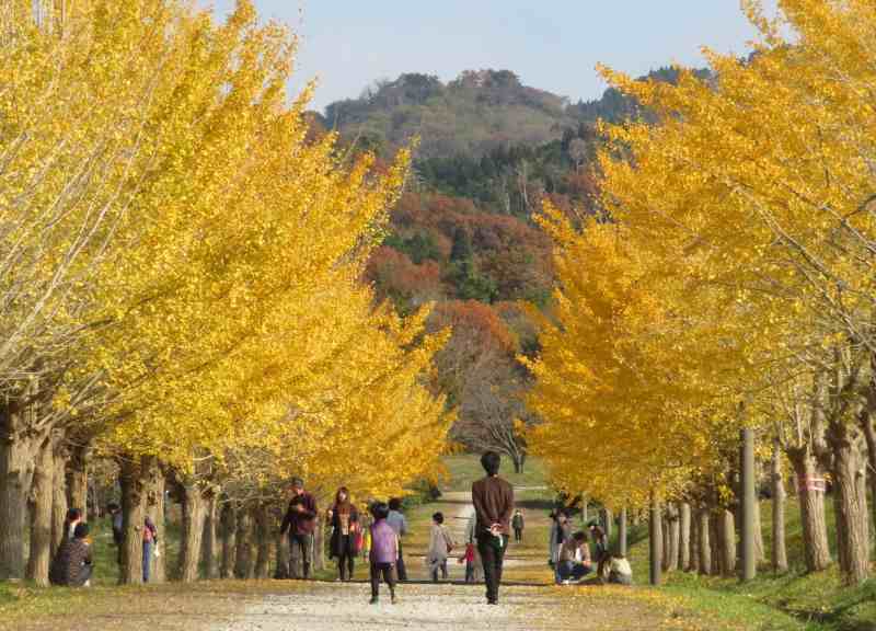 f:id:mannenNA:20211227201825j:plain