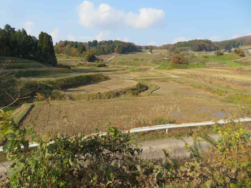 f:id:mannenNA:20211227201900j:plain