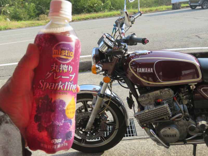 f:id:mannenNA:20211227201915j:plain