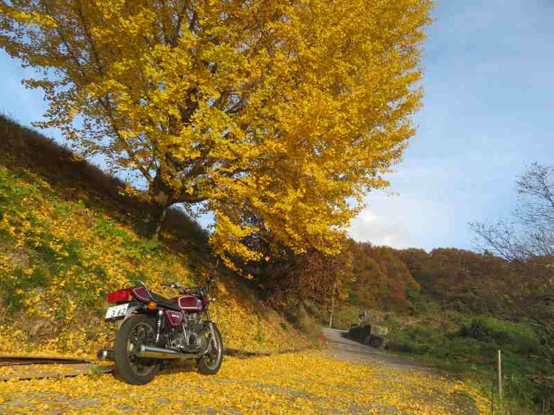 f:id:mannenNA:20211227201933j:plain