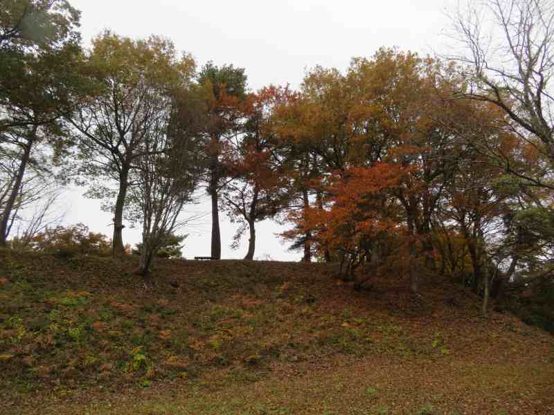 f:id:mannenNA:20211227202042j:plain