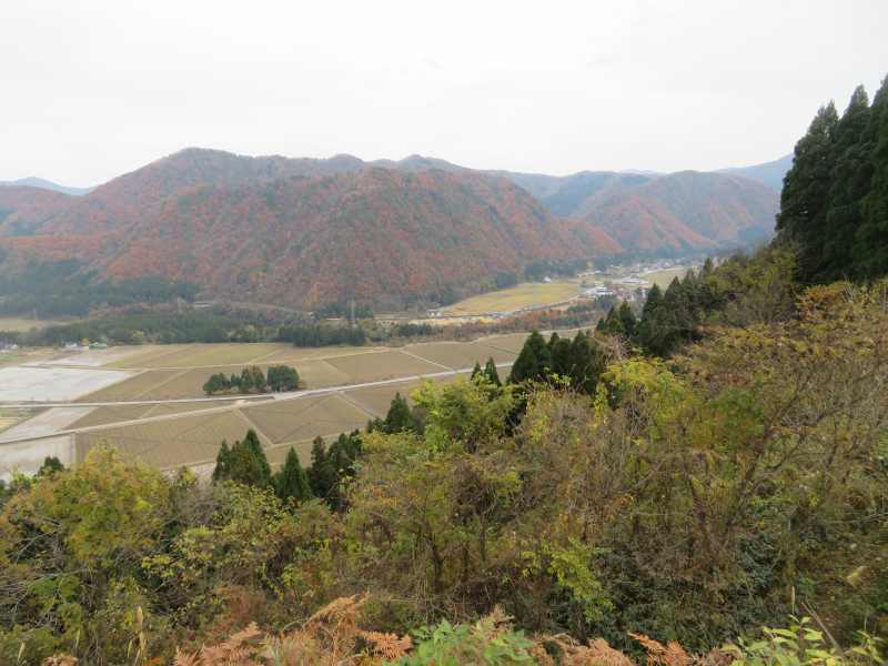 f:id:mannenNA:20211227202117j:plain