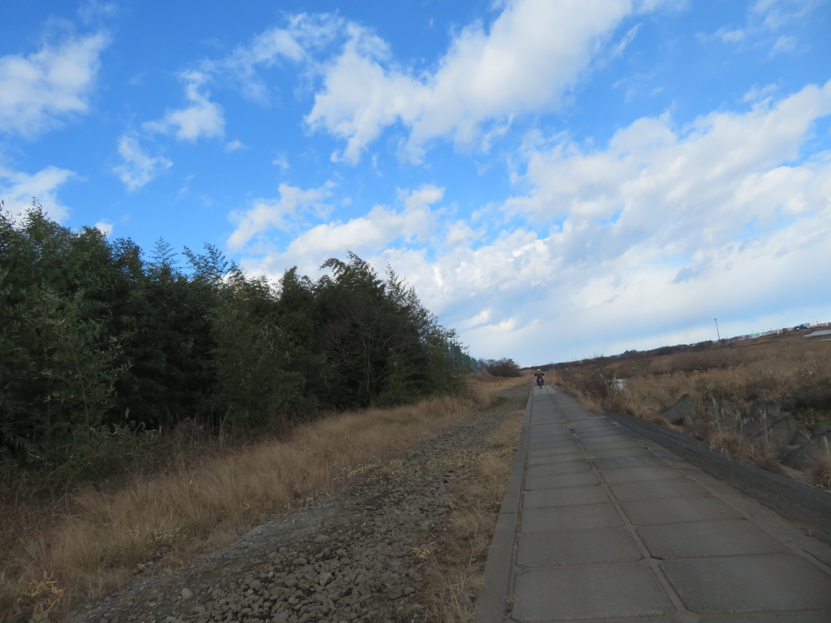 f:id:mannenNA:20220112194856j:plain