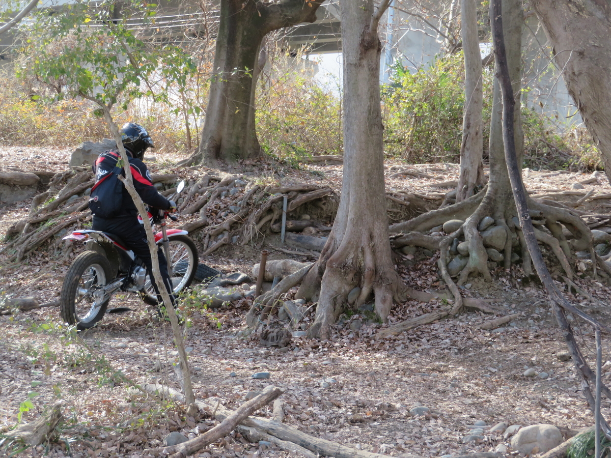 f:id:mannenNA:20220112195024j:plain