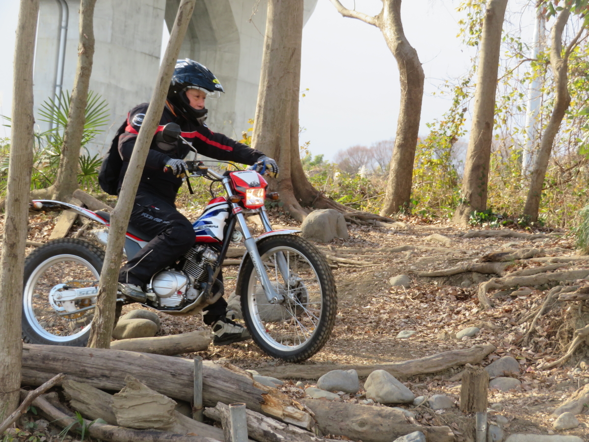 f:id:mannenNA:20220112195052j:plain