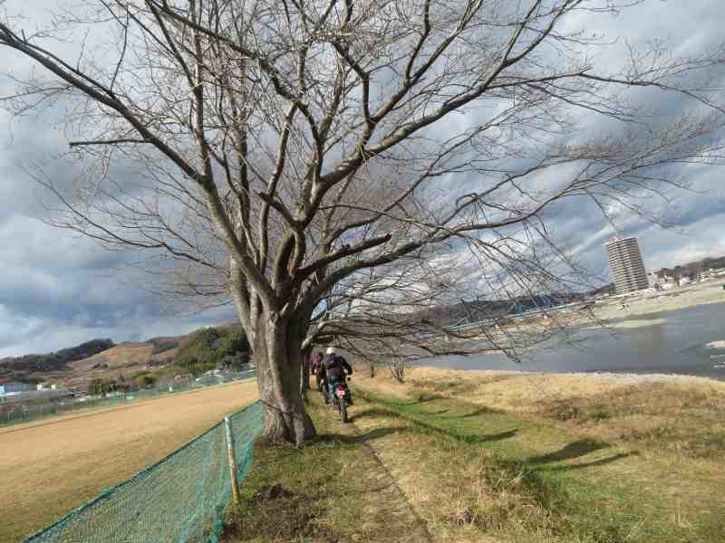 f:id:mannenNA:20220112195250j:plain