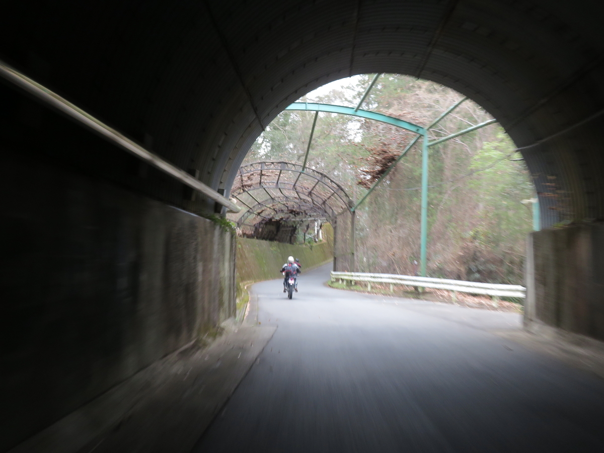 f:id:mannenNA:20220112195356j:plain