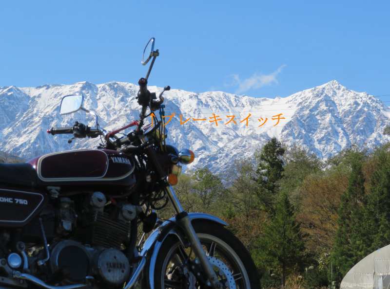 f:id:mannenNA:20220113222614j:plain