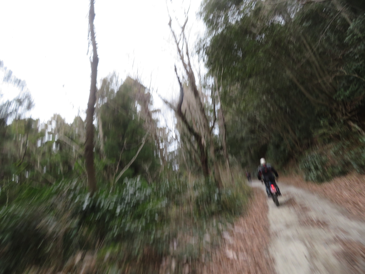 f:id:mannenNA:20220114213831j:plain