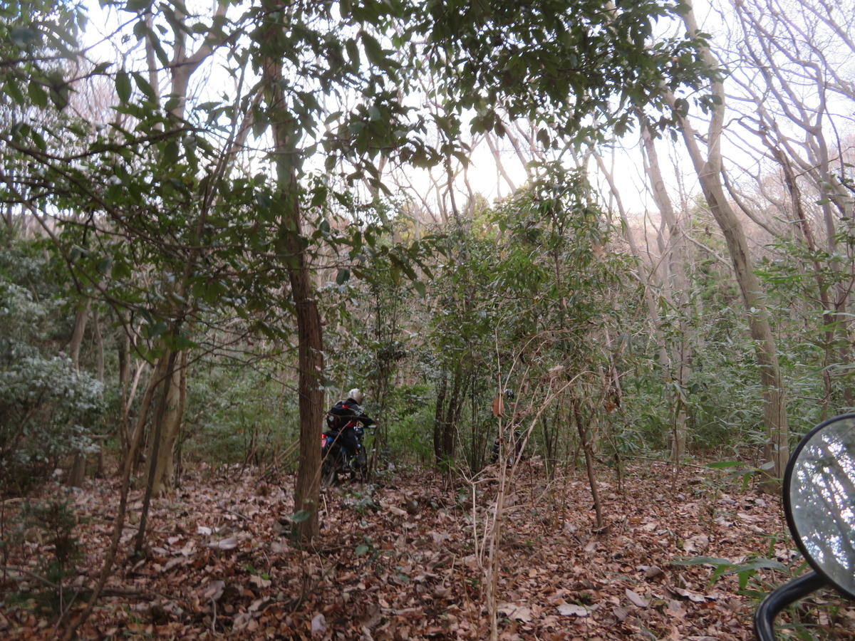 f:id:mannenNA:20220116171942j:plain