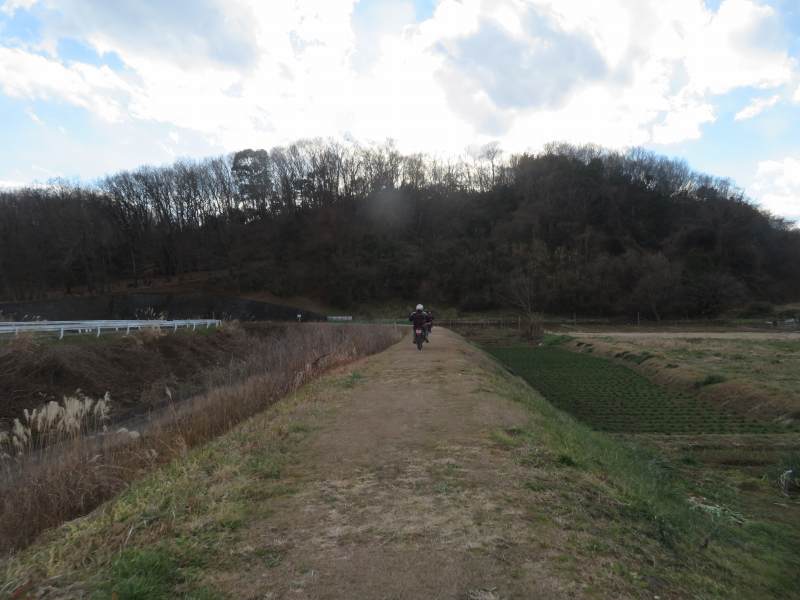 f:id:mannenNA:20220116172108j:plain