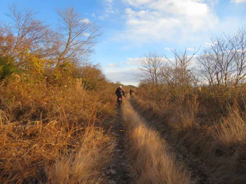 f:id:mannenNA:20220116172124j:plain