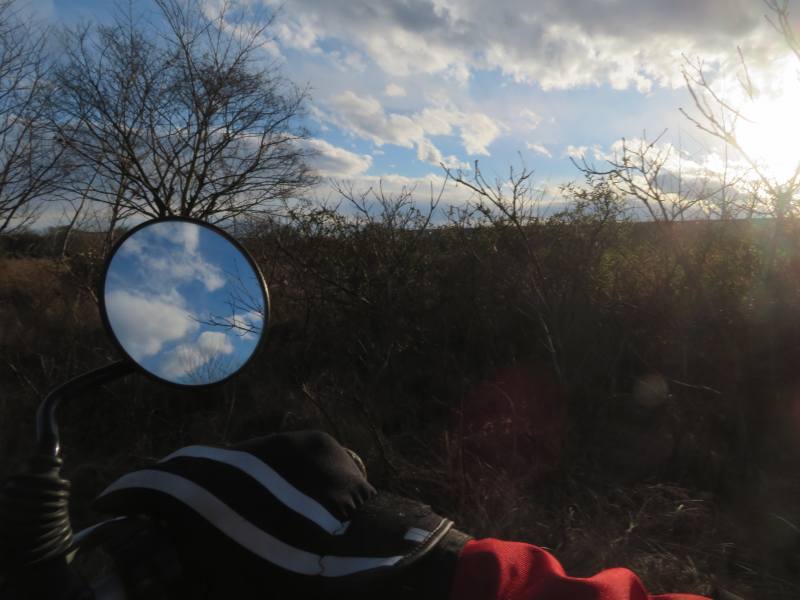 f:id:mannenNA:20220116172138j:plain