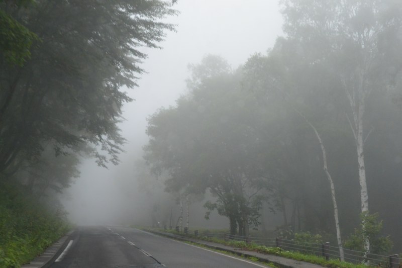 f:id:mannenNA:20220201203557j:plain