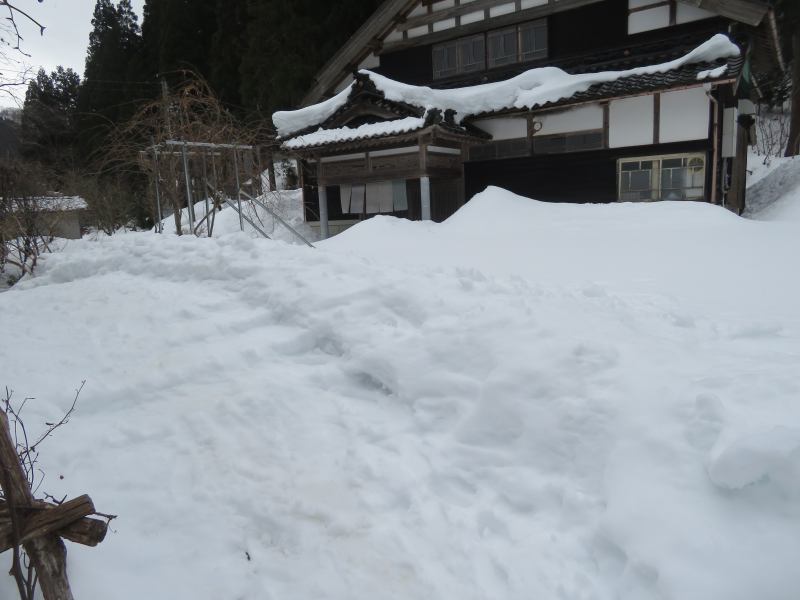 f:id:mannenNA:20220212174455j:plain