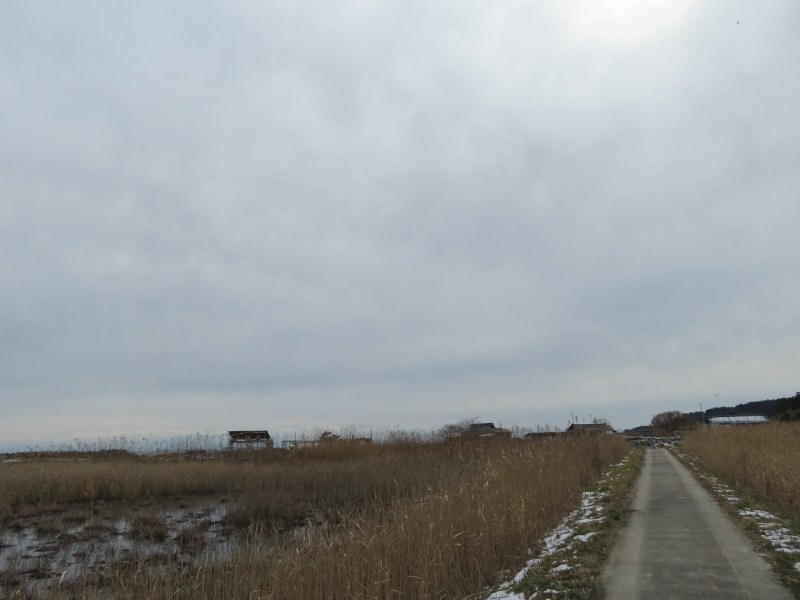 f:id:mannenNA:20220225214214j:plain