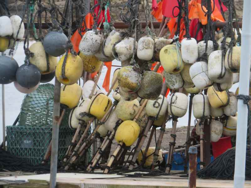 f:id:mannenNA:20220225214345j:plain