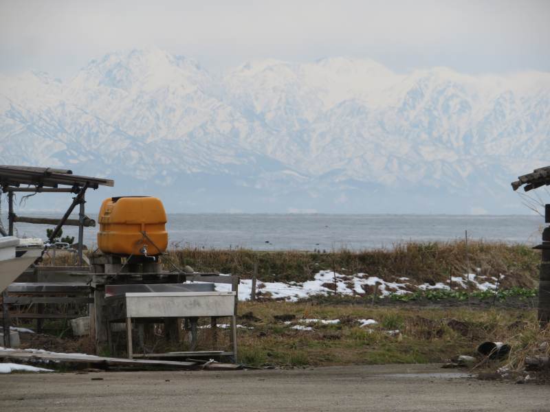 f:id:mannenNA:20220225214605j:plain