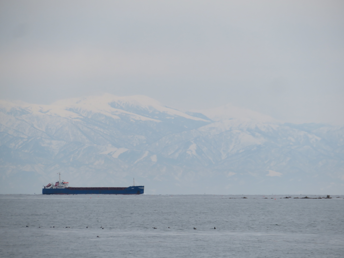 f:id:mannenNA:20220225214743j:plain