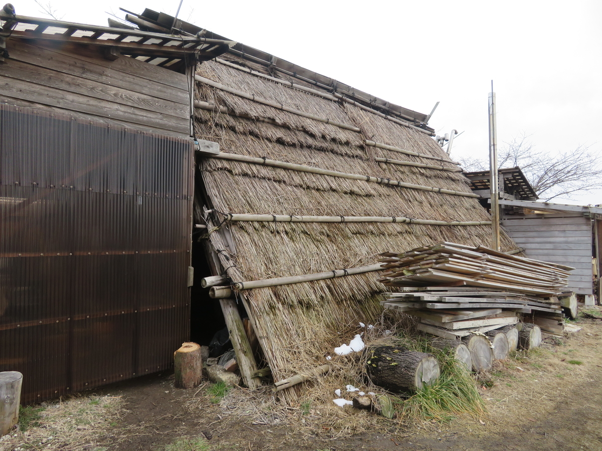 f:id:mannenNA:20220225214949j:plain